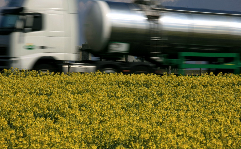 Rapeseed Blooms Across The UK